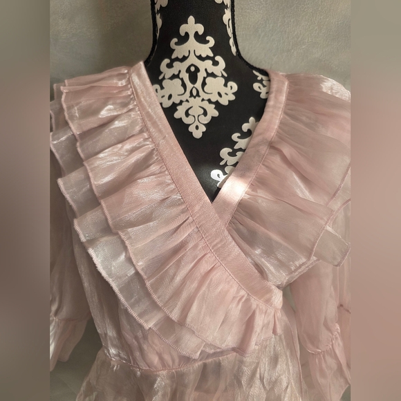 Baby Pink Organza Mesh Sheer Ruffled Mini Dress Top Sz 2X Wo Wo Wrap - Picture 3 of 16